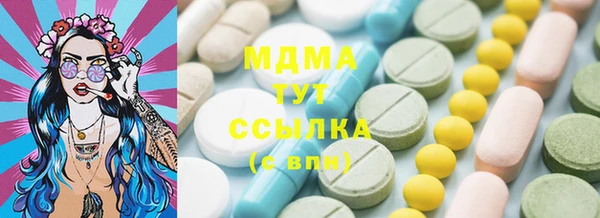 хмурый Магас