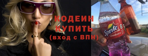 хмурый Магас