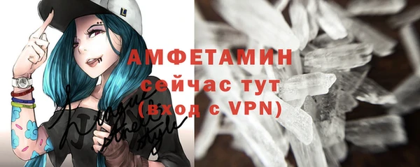 хмурый Магас