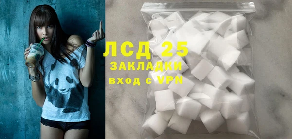 хмурый Магас