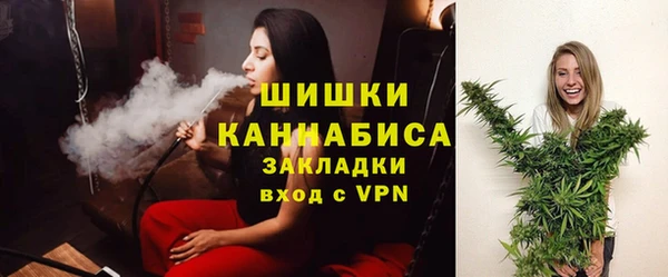 хмурый Магас