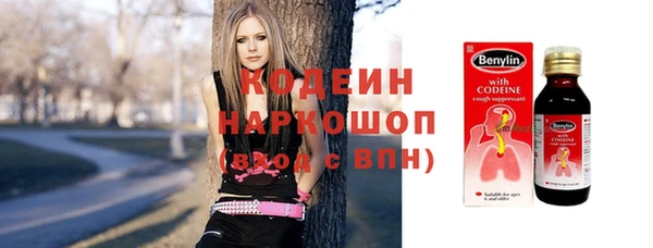 хмурый Магас