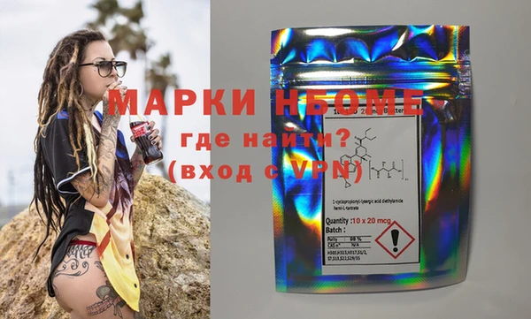 хмурый Магас