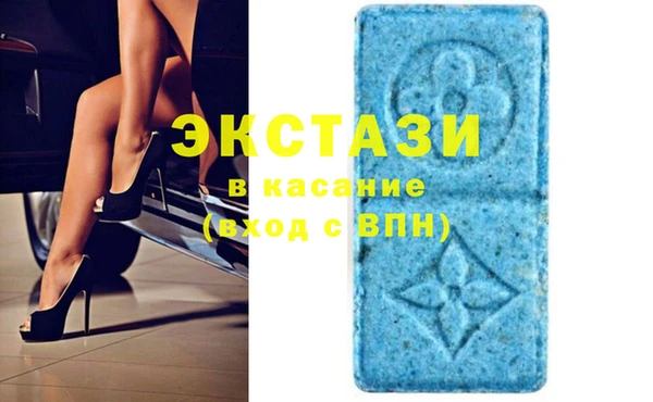 хмурый Магас