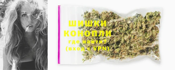 хмурый Магас